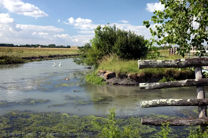 Le marais poitevin en Vendée