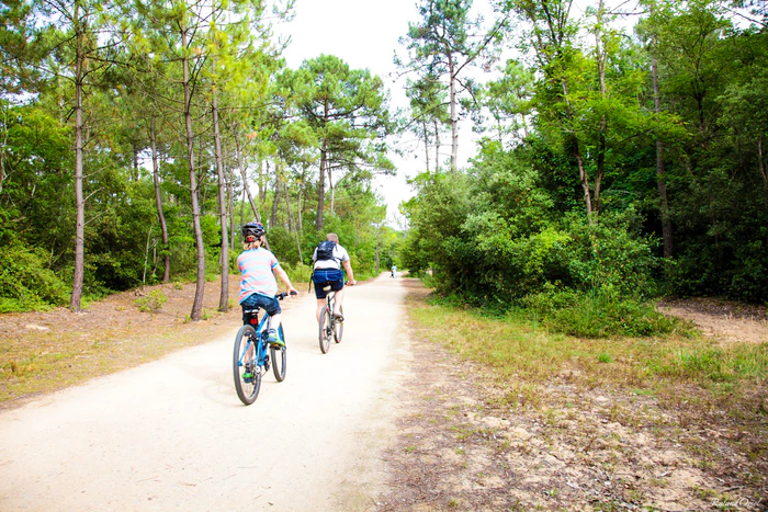 Piste cyclable en forêt de pins en Vendée avec cyclistes