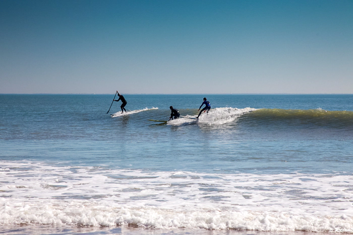 Un groupe faisant du surf sur une mer relativement calme