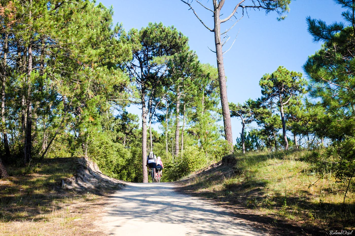 Piste cyclable traversant la forêt arpenté par un couple